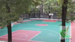 岳塘区首片新国标篮球场由贵宾会中国体育建成